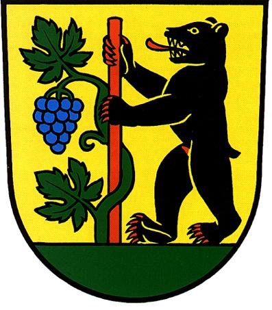 J. Schegg Vom Gemeinderat Diepoldsau erlassen am: 7. 0.