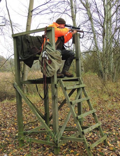 Jagdliche Strategien zur Verminderung von Schwarzwildschäden Grundsätze Schwarzwildbestände sind nicht zählbar, der Zuwachs schwankt jährlich un be - rechenbar in weiten Grenzen.