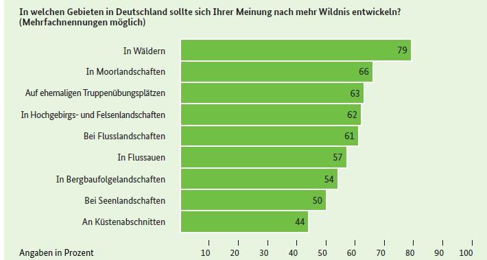 Landschaft extrem   wollen Wildnis Alpenfluss-typische