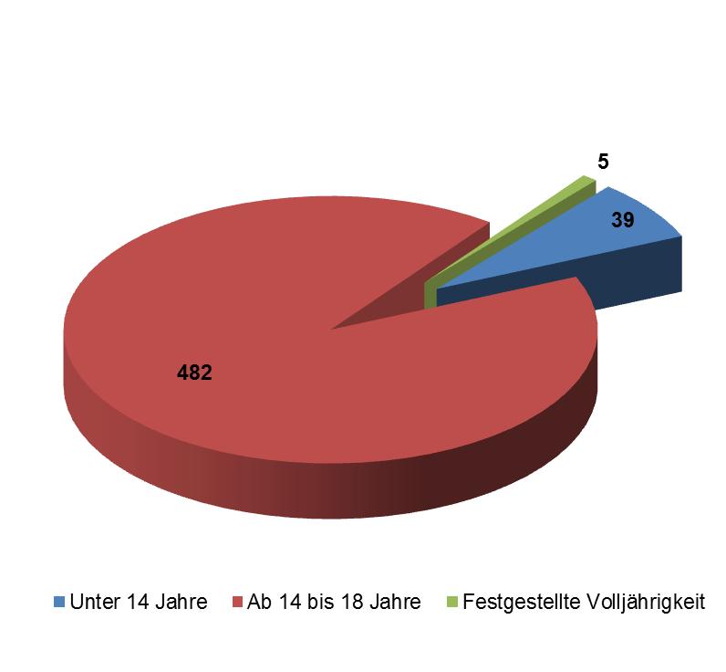 Unbegleitete minderjährige Asylwerber Asylanträge von unbegleiteten Minderjährigen per 28.02.