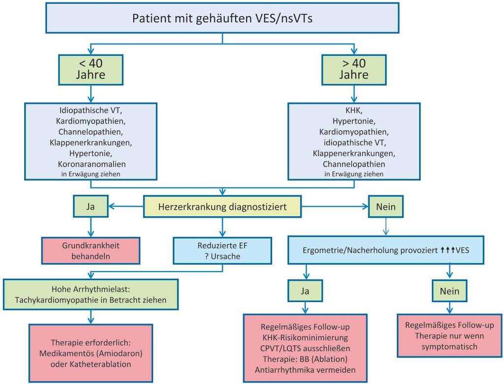 Ventrikuläre Extrasystolie bei Herzgesunden Abbildung 1: Diagnostisches Prozedere bei Patienten mit gehäuften ventrikulären Extrasystolen und nicht anhaltenden Kammertachykardien.