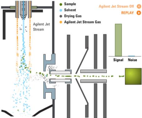 Stream Hexabore Capillary Dual Ion Funnel Thermische