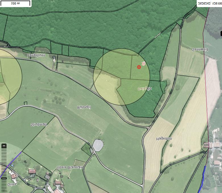 3.3 Geisspitz Arisdorf Der Geisspitz ist ein vorgelagerter Hügelsporn des Eileten. Der gelbe Kreis markiert eine eisenzeitliche Siedlungszone.