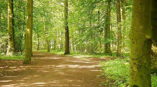 LISTER MEILE HAUPTBAHNHOF Ebenfalls in der Nähe: die wunderschöne Eilenriede Europas größter Stadtwald. Ruhiges Wohnen in lebendiger.