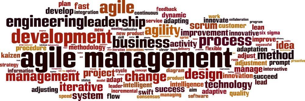 Agiles Management Agile Entwicklungsmethoden für die