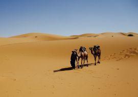 Sahara Die Wüstenregion von M Hamid beeindruckt tagsüber mit ihren ausgedehnten Dünenlandschaften und nachts mit ihrem atemberaubenden Sternenhimmel.