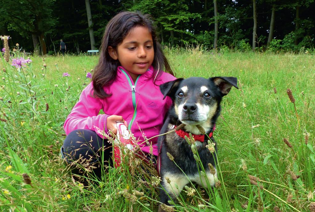 Infos für junge Tierfreunde Endlich: Ein eigenes Haustier! Du liebst Tiere?