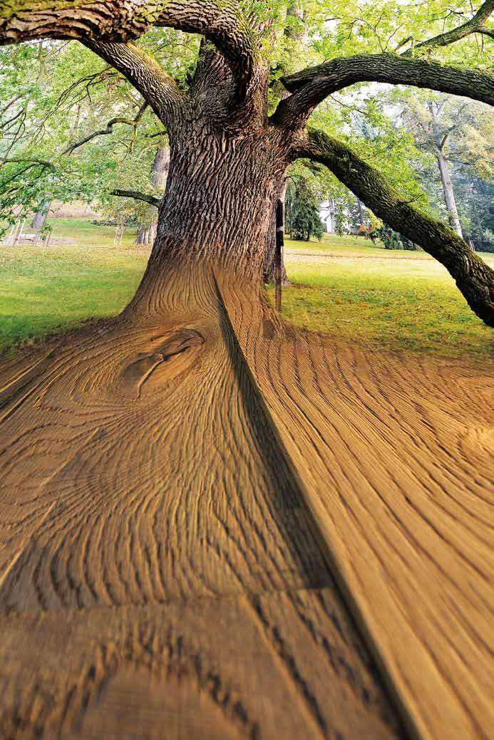 Der Geschmack der Natur Create Emotion Holz ist ein