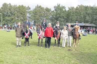 Roderather Tölttage ein großer Erfolg IPN-Anlage feiert 40-jähriges Bestehen Zu Pferd eingereiht in die Reihen der Offiziellen, die Kreis- und Vereinsmeister des IPN: (v.l.) Marit Scheen, Nicola Lörwald, Leah Effe und Severin Schneider.