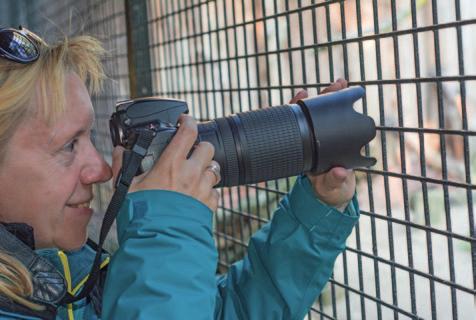 Fotografieren von Zoo- und Wildparktieren 21 Auch wenn es erst einmal wie Zauberei klingt: Sie können beim Fotografieren durch Gitter in vielen Fällen die Gitter auflösen, sodass sie auf dem Bild
