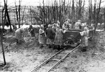 Davies) Nach dem Sieg über Nazi-Deutschland konfrontierten die Alliierten die deutsche Bevölkerung mit öffentlichen Aushängen von Bildern und Vorführungen von Filmen aus Konzentrationslagern.