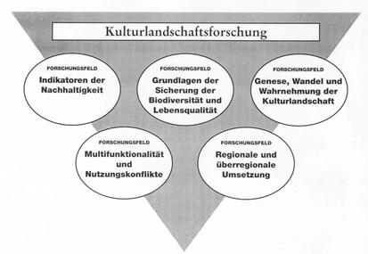 Forschungsfelder der Kulturlandschaftsforschung Quelle: SMOLINER et al., Forschungskonzept Kulturlandschaftsforschung, Wien 1995, S.