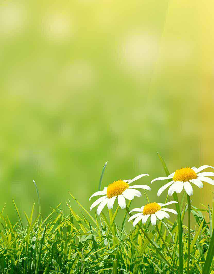 Ihr Gärtnererfolg ist in bedeutsamer Weise von der Lage und Ausrichtung Ihres Gewächshauses abhängig. Es ist wichtig, möglichst viele Sonnenstrahlen einzufangen.