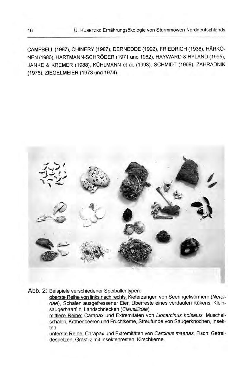 16 U. Kueum: Ernährungsökologie von Sturmmöwen Norddeutschlands CAMPBELL (1987), CHINERY (1987), DERNEDDE (1992), FRIEDRICH (1938), HÄRKÖ- NEN (1986), HARTMANN-SCHRÖDER (1971 und 1982), HAYWARD &
