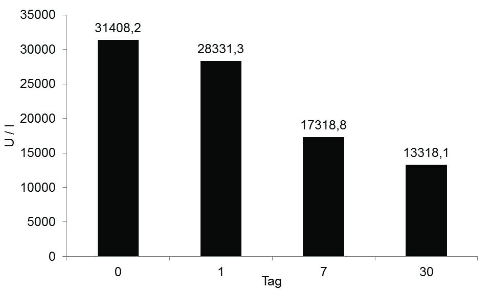 Ergebnisse Abbildung 11: Arithmetische Mittelwerte ( ) der Aktivität der Alkalischen Phosphatase an den Tagen 0, 1, 7 und 30.