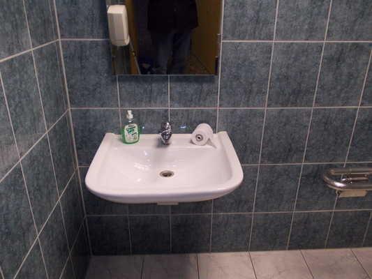 Ganzglastür vorhanden: nein Die Tür zum Sanitäraum muss geöffnet werden mit einem anderen Schlüssel. WC Höhe des Toilettensitzes (ohne Deckel): 46 cm Haltegriff links vom WC.