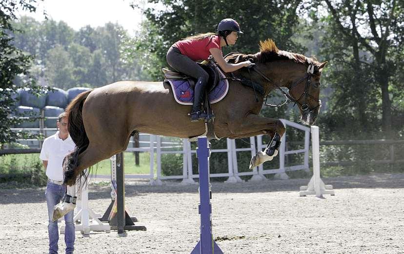 16 Sport züchter. Auf seinem Gestüt in Mecklenburg stehen ständig mehr als 3000 junge Pferde und Zuchtstuten mit ihren Fohlen.