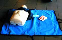 Fachvortrag Einweisung in den Defibrillator Im Frühherbst haben wir mit Unterstützung durch
