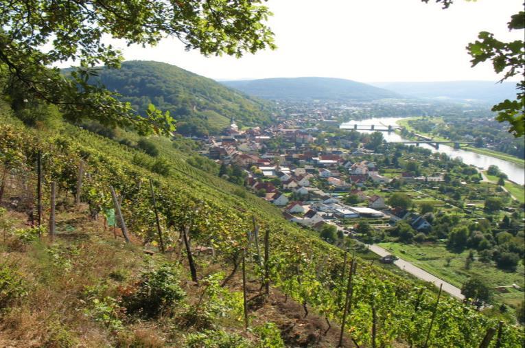 Buntsandsteinterrassen mit Weinanbau prägen das Landschaftsbild Touristische Vermarktung stellt große Herausforderungen, da