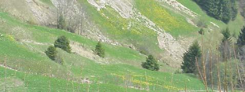 der Berglandschaft Oberlauf der Donau