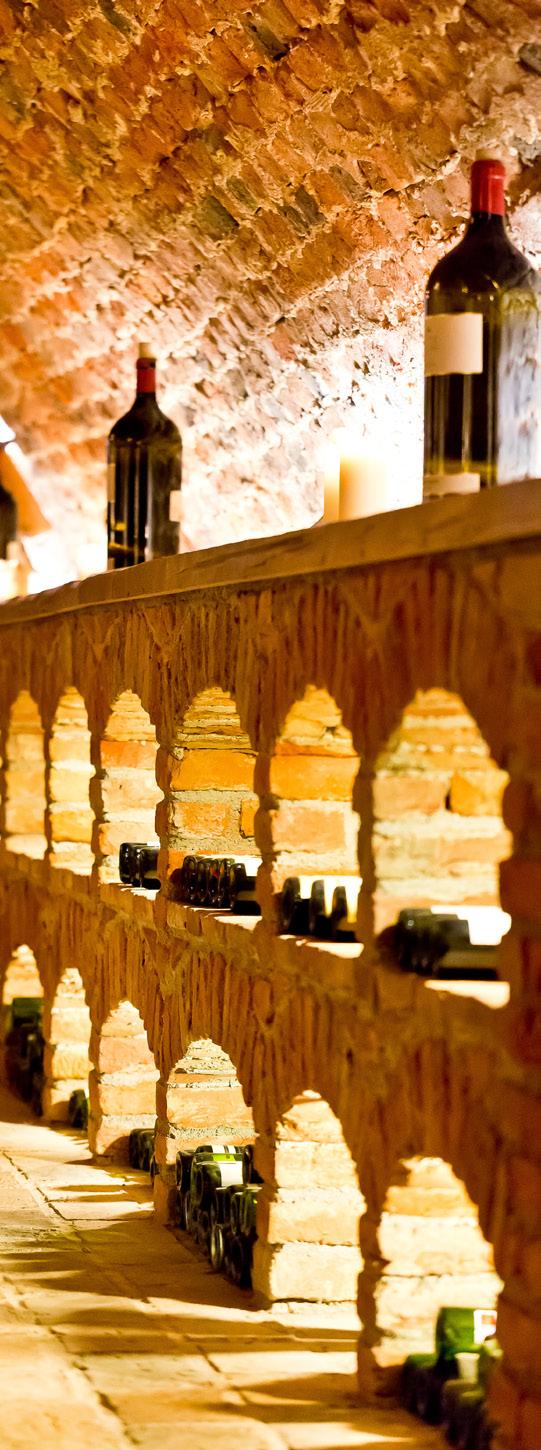 Diese Tradition findet sich wieder in unseren Angeboten und in der heutigen Infrastruktur: historischer Weinkeller im Schloss für Empfänge und Vorträge (max.
