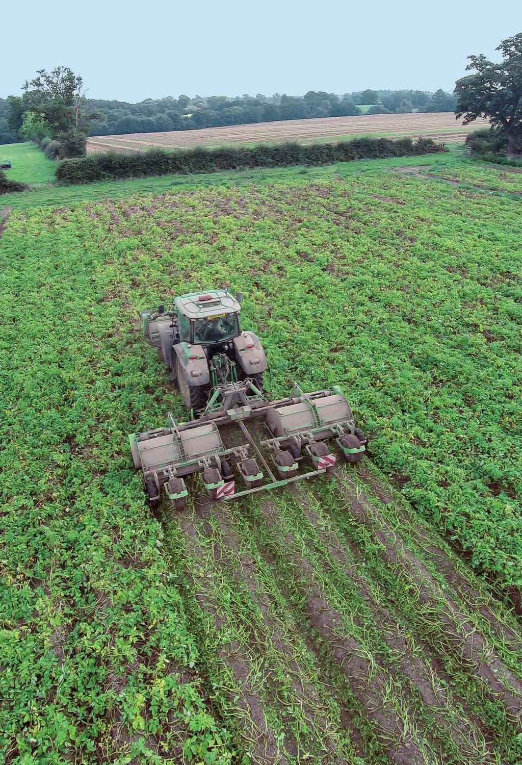 Krauttunnel Die Krauttunnel leiten das Kraut optimal bis zu den Kanälen zwischen den Rückseiten, damit keine Krautablagerungen an der Rückseite verbleiben.