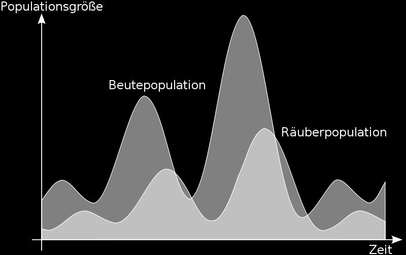 Lotka-Volterra-Regeln Zur Erinnerung: Regel 1 - Periodische Populationsschwankung: Räuber- und Beuteanzahl