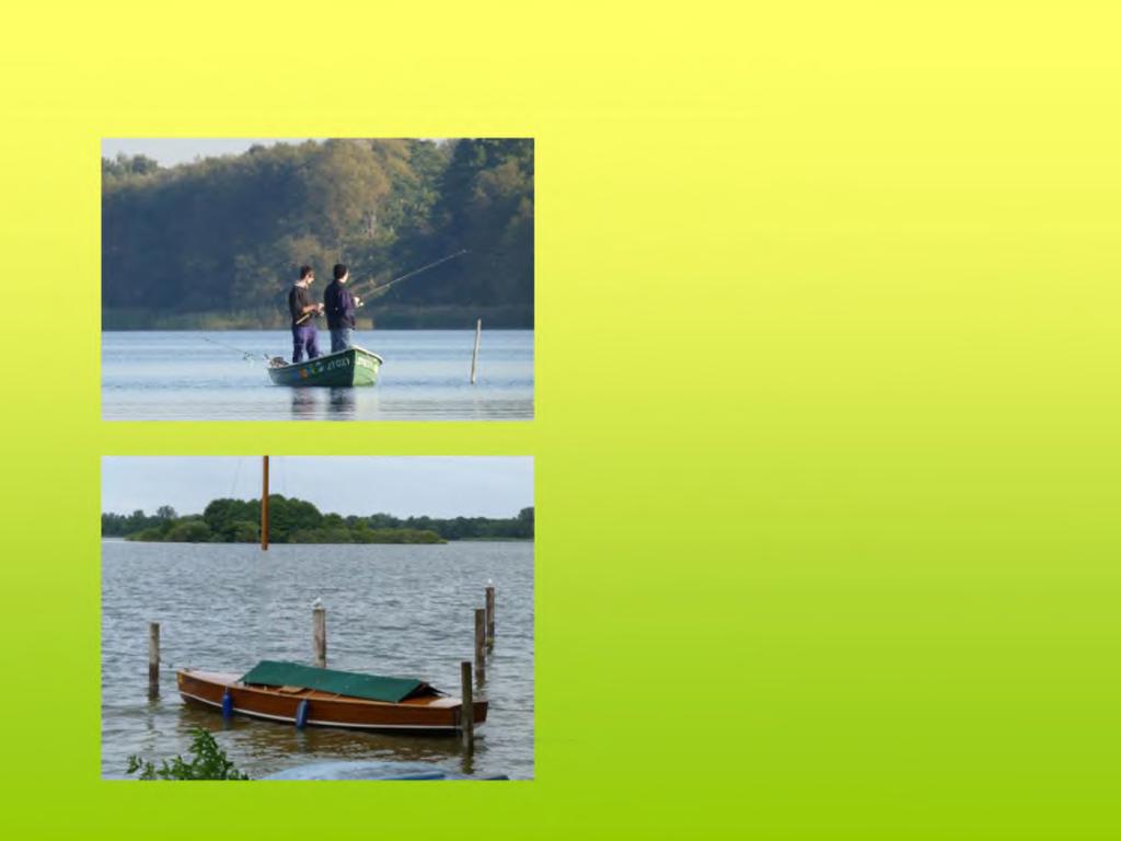 Arten des Bootsverkehrs auf dem Schaalsee: