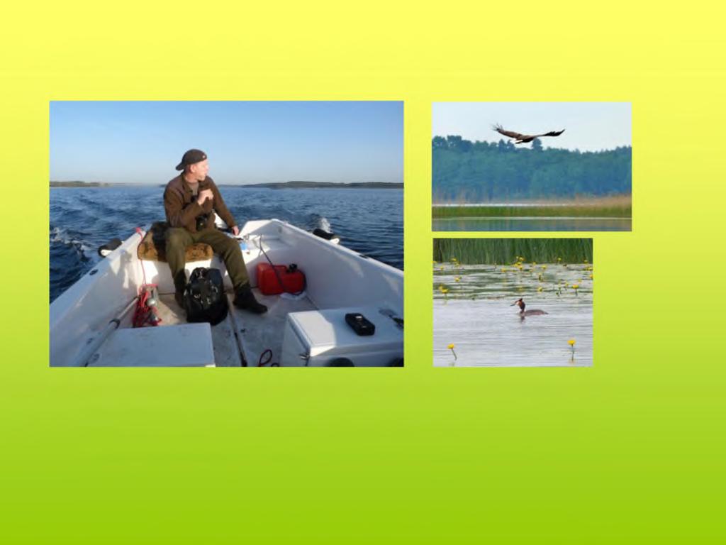 Arten des Bootsverkehrs auf dem Schaalsee: 3.