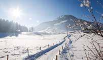 Hält man sich aber in den Bergen auf, beispielsweise zum Skifahren, ist Sonnenschutz notwendig.