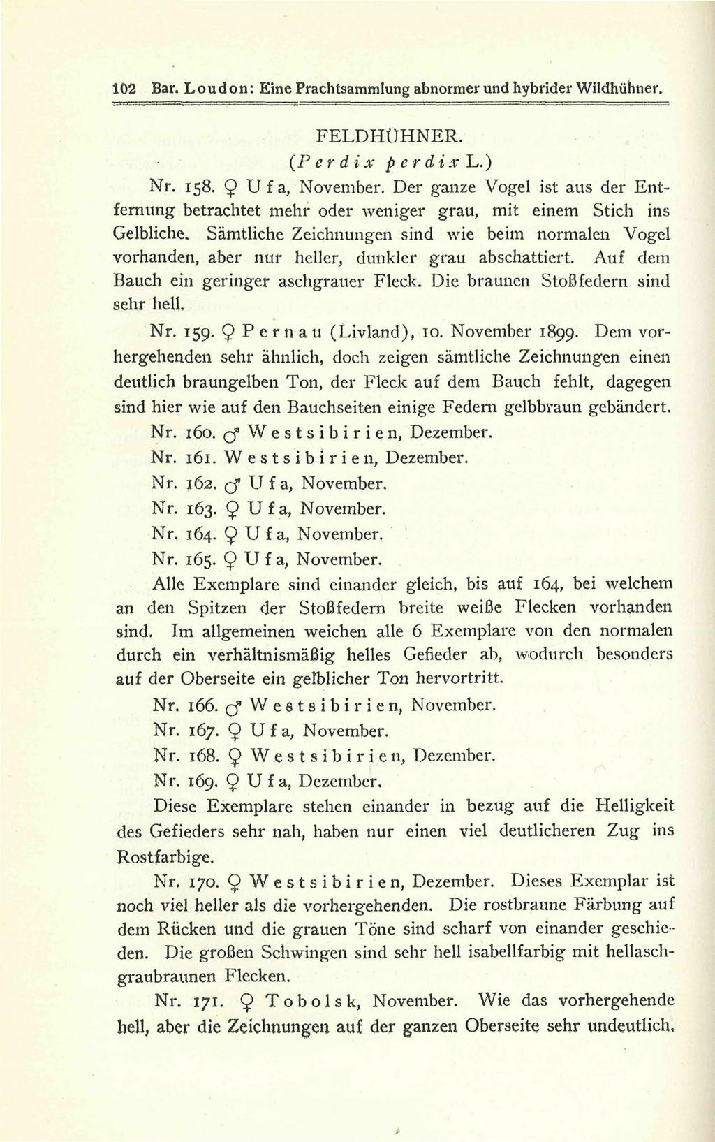 102 Bar. Loud on: Eine Prachtsammlung abnormer und hybrider Wildhühner. FELDHÜHNER. (P er di x p e r d i x L.) Nr. 158. 9 Ufa, November.