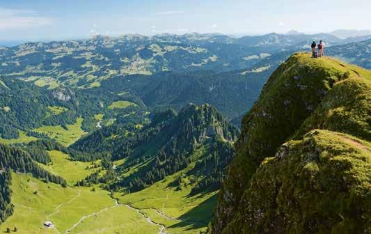 Mit der Gästekarte gratis durch den Bregenzerwald 3 PRAXISBEISPIELE 39 Der Bregenzerwald ist eine ländliche-alpine Region im Nordosten des österreichischen Bundeslands Vorarlberg mit 22