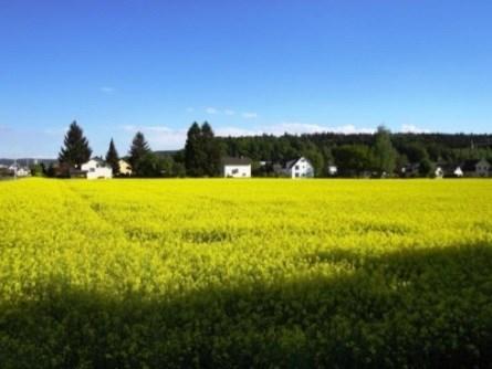 Aktivierung der inneren Nutzungsreserven >