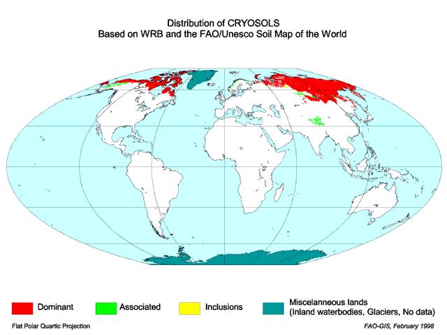 Permafrostböden Cryosole Vorkommen in der polaren, subpolaren und z.t. borealen Klimazone kennzeichnend sind Kryoturbationserscheinungen (Verwürgungen, Polygone) Nutzung als Rentierweide, Holznutzung Böden sehr sensibler Ökosysteme: Bodenschäden (z.