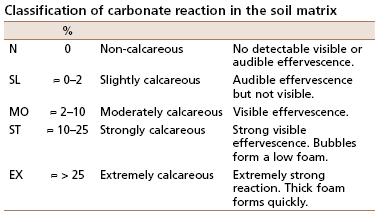 Soil description Content of Carbonates The presence of calcium carbonate (CaCO3) is established by adding some drops of 10-percent HCl