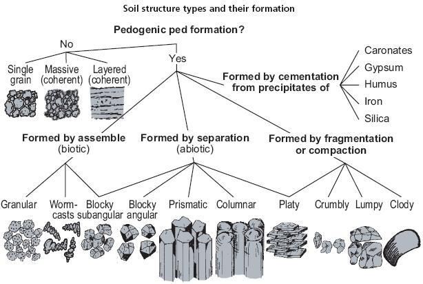 Soil description Soil structure Soil structure refers to the natural organization of soil particles into discrete soil units (aggregates) that result from pedogenic processes.