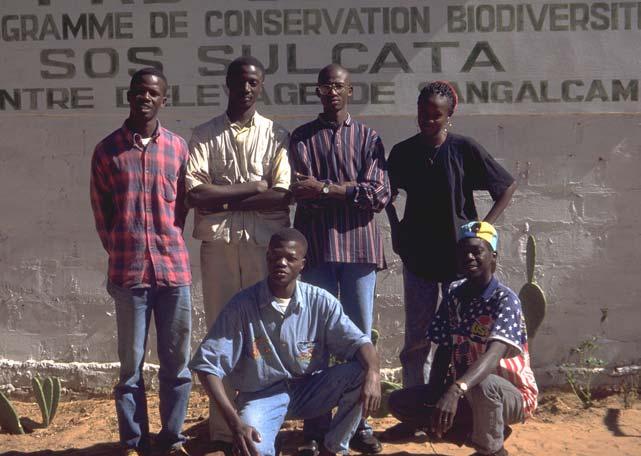 Abb. 25: Das Team von S.O.S Sulcata in Rufisque Literatur ARTNER H., U. J OST & T.DIAGNE (1996): Im Sénégal der Schildkröten wegen Emys, St. Pölten 3(2): 5-14. DEVAUX B.