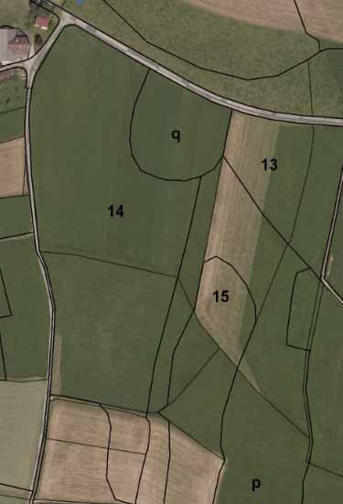 2.2.4 Begehung der Standorte 13 15 Lage der Standorte 13 15: Gemeinde Obertrum am See, KG Nummer 56539 Die betrachteten Flächen befinden sich südlich der Gemeindestraße Webersdorf (Ausnahme r,