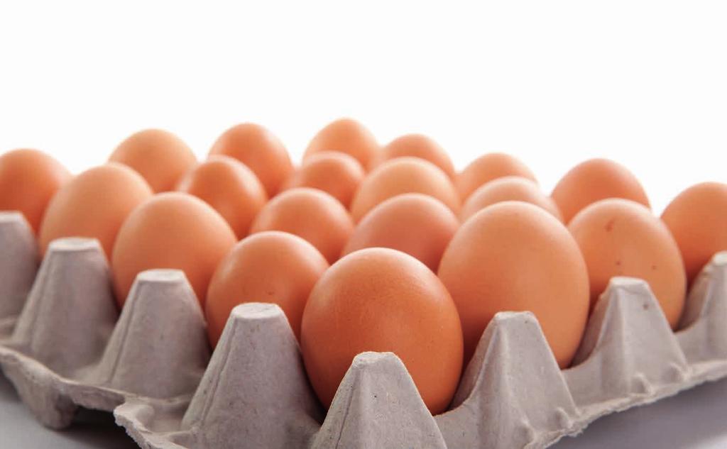 Feuerverzinkung Holdorf verzinkt maßgeschneidertes Regalsystem für OVOBEST 300.000 Eier pro Stunde Eier. Wir genießen sie als Frühstücksei, Eiklar.