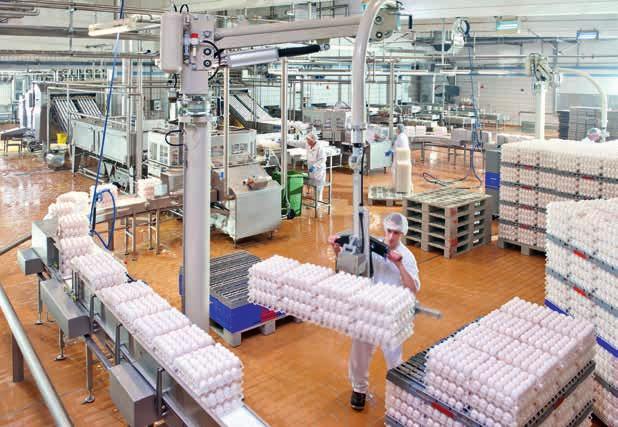 Über der Firma Böckmann unser Traceability-System können wir das Maschinenbau GmbH Ei vom Fertigprodukt über alle Anlagen- aus Holdorf ein Regal- teile, die zur Herstellung verwendet wor- lager