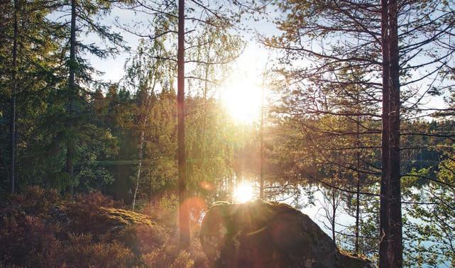 UNITED GRINDING GROUP INTERNATIONAL Volvo-Pkw bestimmen den schwedischen Maschinenbaumarkt, Wälder das Erscheinungsbild des Landes Der Pkw-Hersteller der mit dem gleichnamigen Lkw-Hersteller nicht