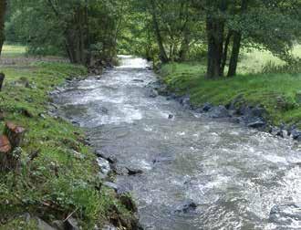 ...für Gewässer- und Hochwasserschutz Maßnahmen zum Gewässerschutz Uferrandstreifen Die Renaturierung von Gewässern bedarf einer sorgfältigen Abstimmung auf die Umgebung und deren Nutzung.