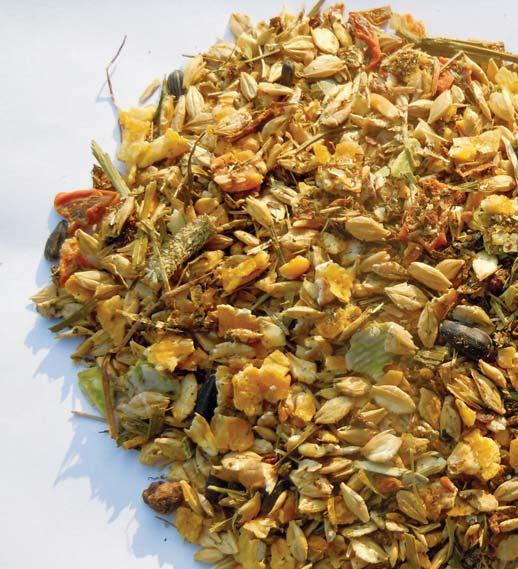 BERKEL Premium Getreide-Kräuter-Mix Energiereiches Ergänzungsfutter mit extra vielen Kräutern für alle Rassen Thermisch aufgeschlossenes Getreide ist