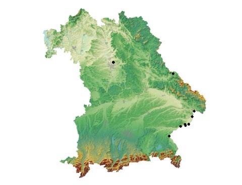 Die Wiederbesiedlung Bayerns durch den Biber erfolgte ab 1966 durch ein Wiederansiedlungsprojekt des Bundes Naturschutz in Bayern e. V.