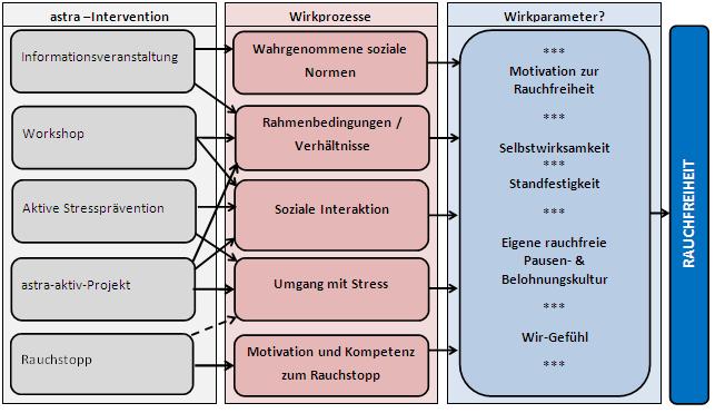 Wirkmodell