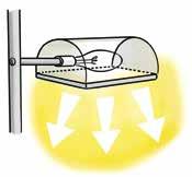 Licht aus! Fledermäuse sind nachtaktive Tiere und vermeiden Lichtquellen.
