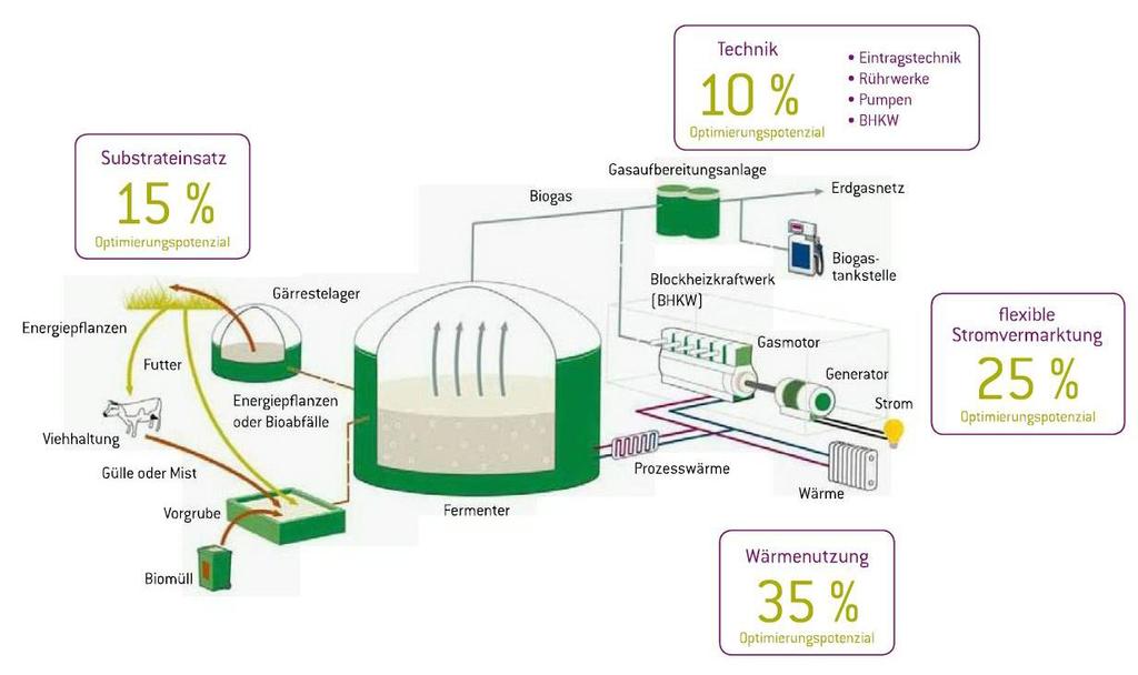 Biogasanlage mit Einsparpotenzialen Diesen