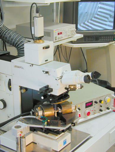 Video- Kamera Kerr-Mikroskop am