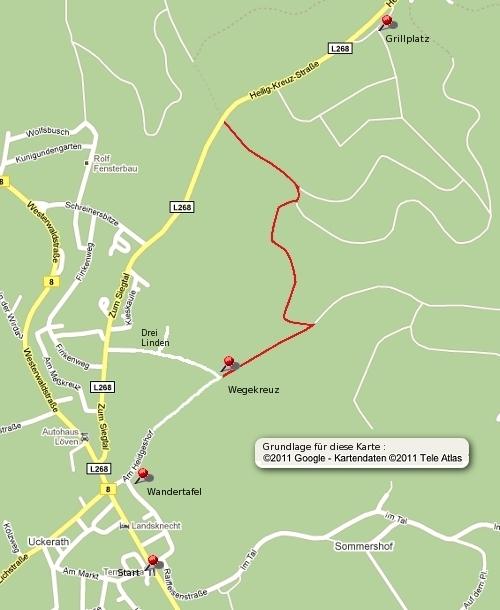 Wir entscheiden uns für den Waldweg : ab in's Tal und dann etwa 300 Meter stramm bergauf zur L 268 das schaffen wir locker, fangen wir die Tour doch eben erst an!