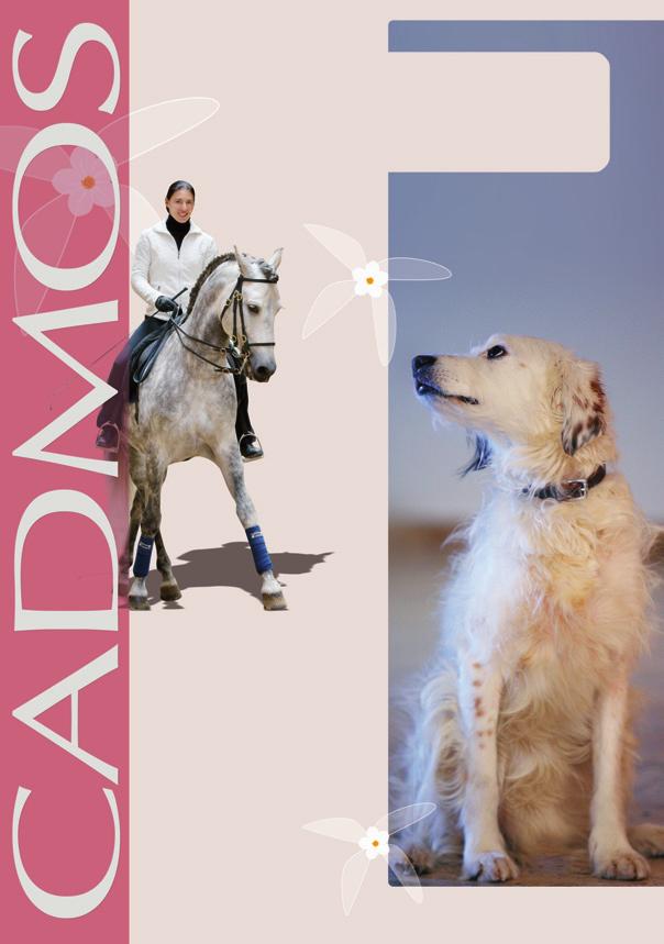 Pferde schön machen mit Cadmolino  Cadmos Verlag Carola von Kesses NEU 